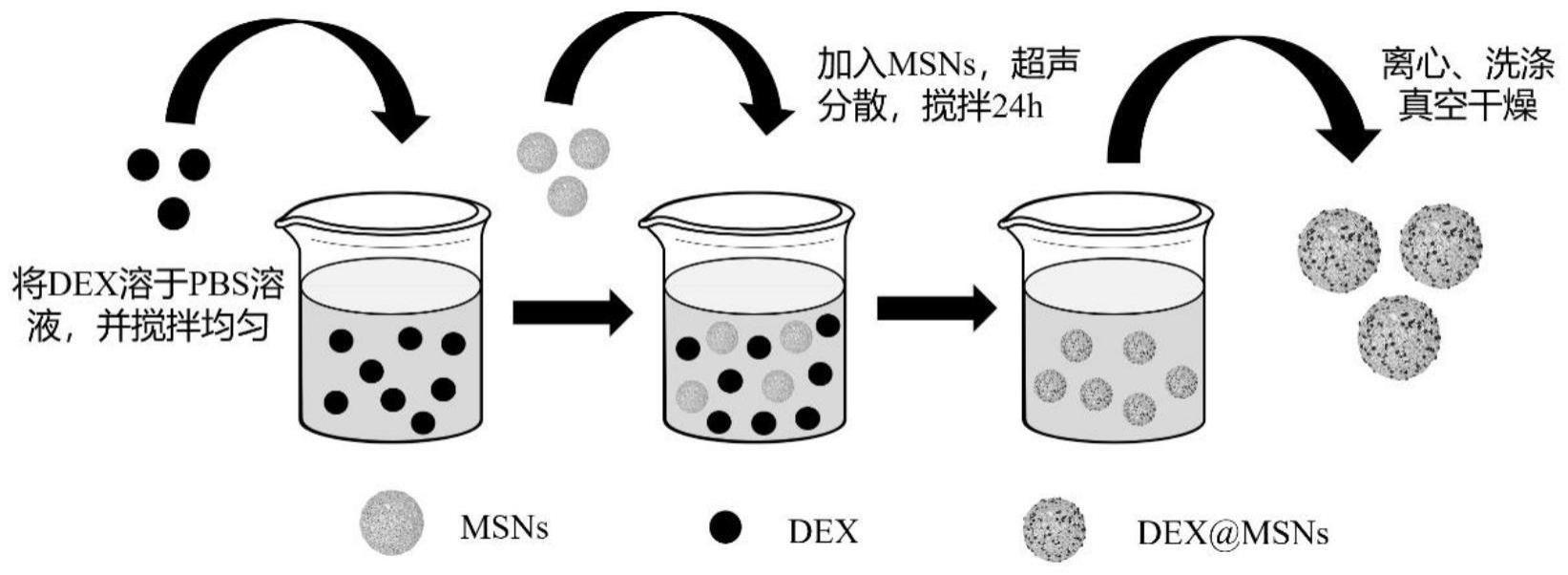 一种顺序释放药物的再生骨支架及其制备方法和应用