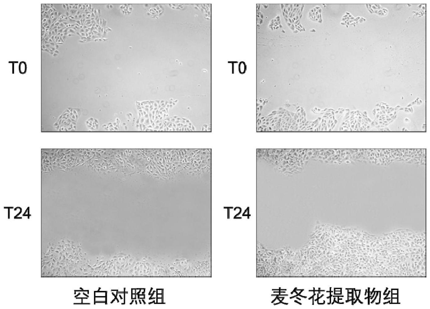 一种中药提取物及其制备方法和应用