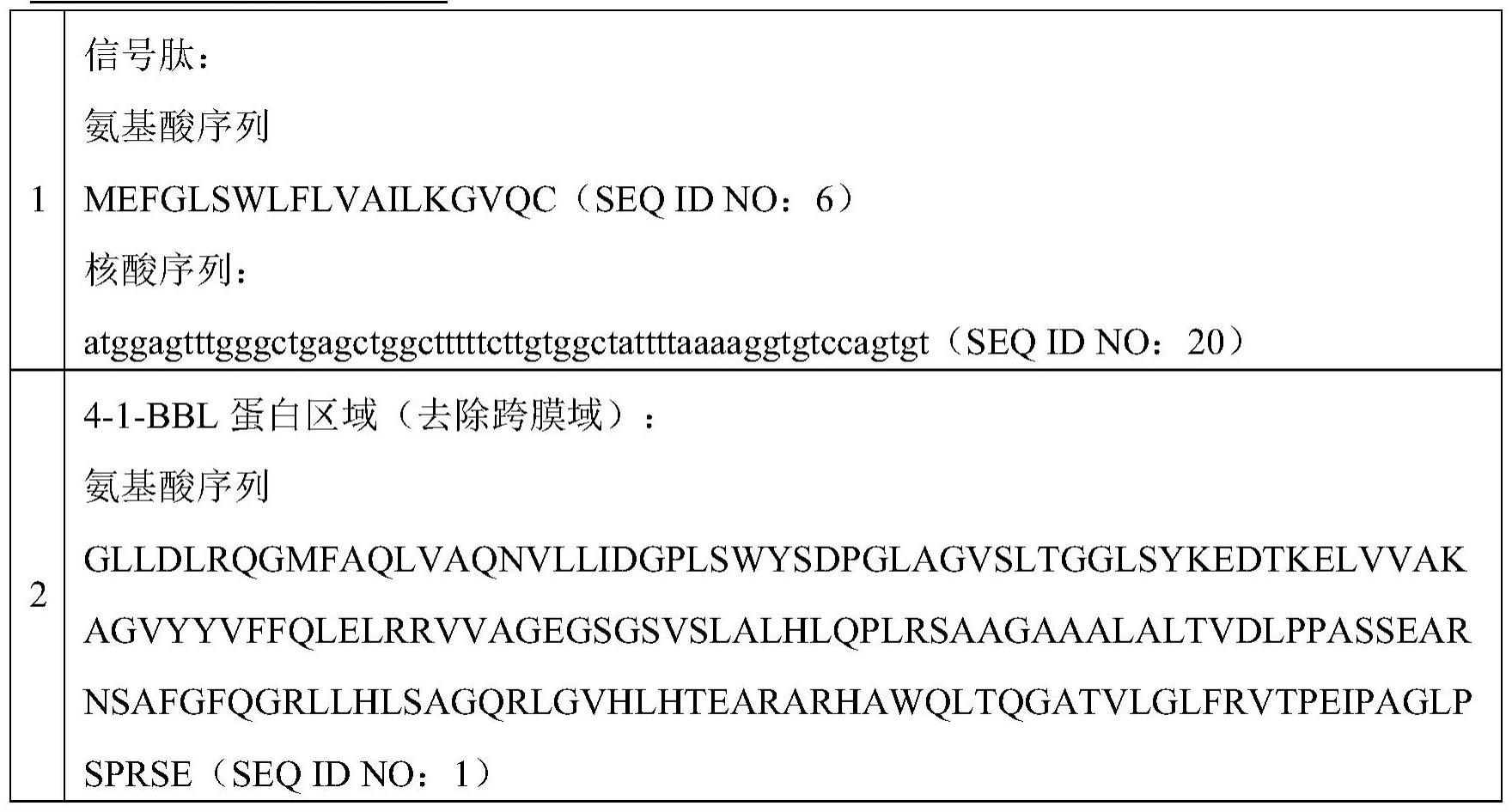 一种嵌合受体及其应用的制作方法