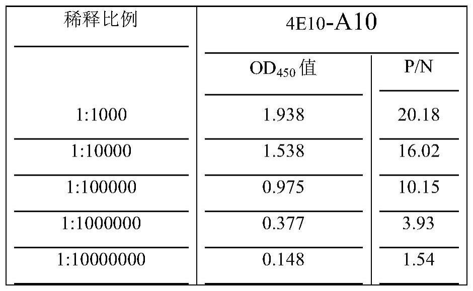 H9N2亚型AIV多拷贝M2e蛋白单克隆抗体、细胞系及其制备方法和应用与流程