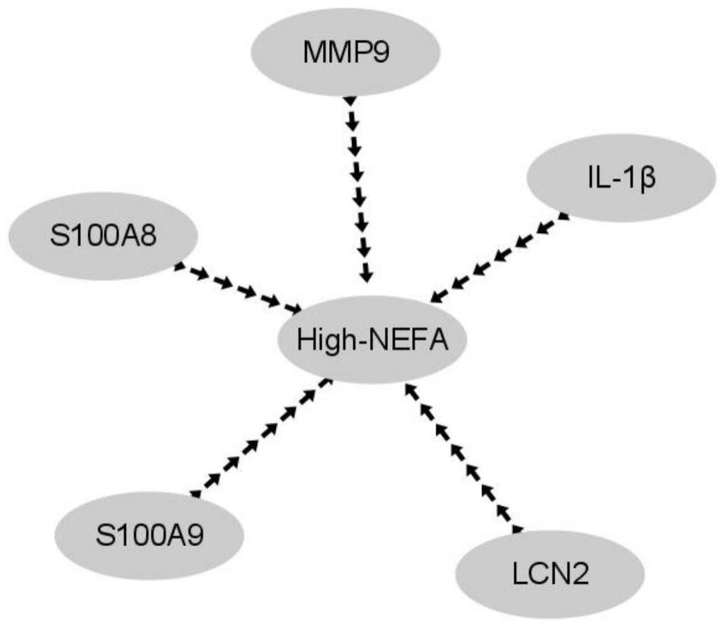一种IL-17信号通路相关基因作为血液中高NEFA标志物及应用
