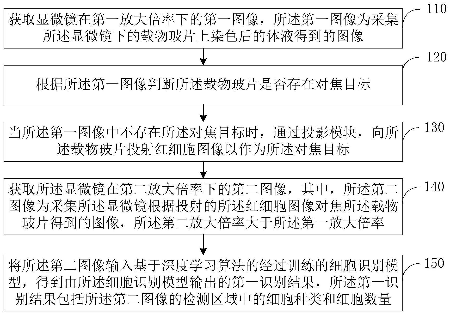 细胞图像识别方法、装置、电子设备及存储介质