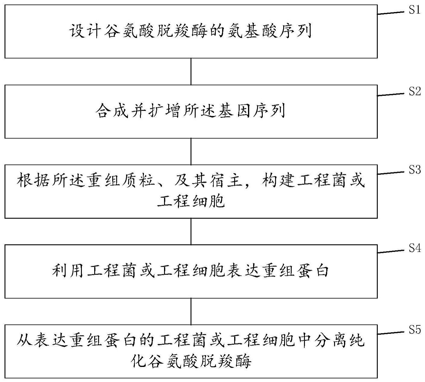 一种谷氨酸脱羧酶及其基因和应用的制作方法