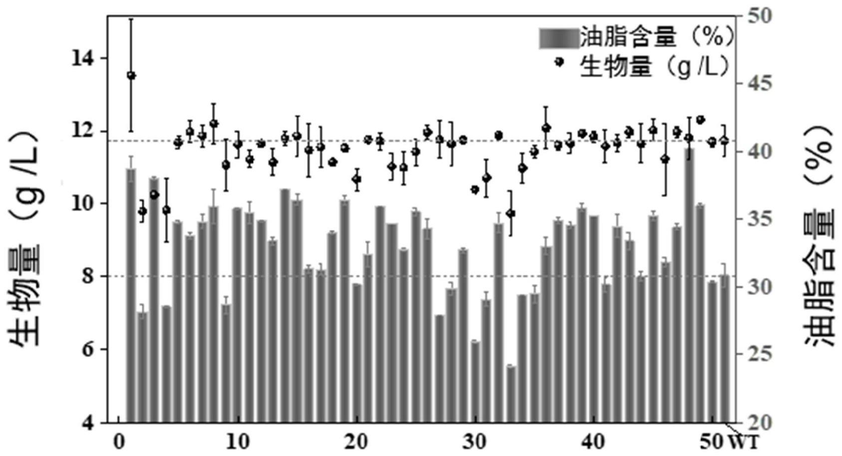 一株高产油脂的酿酒酵母突变株MU2R48及其应用