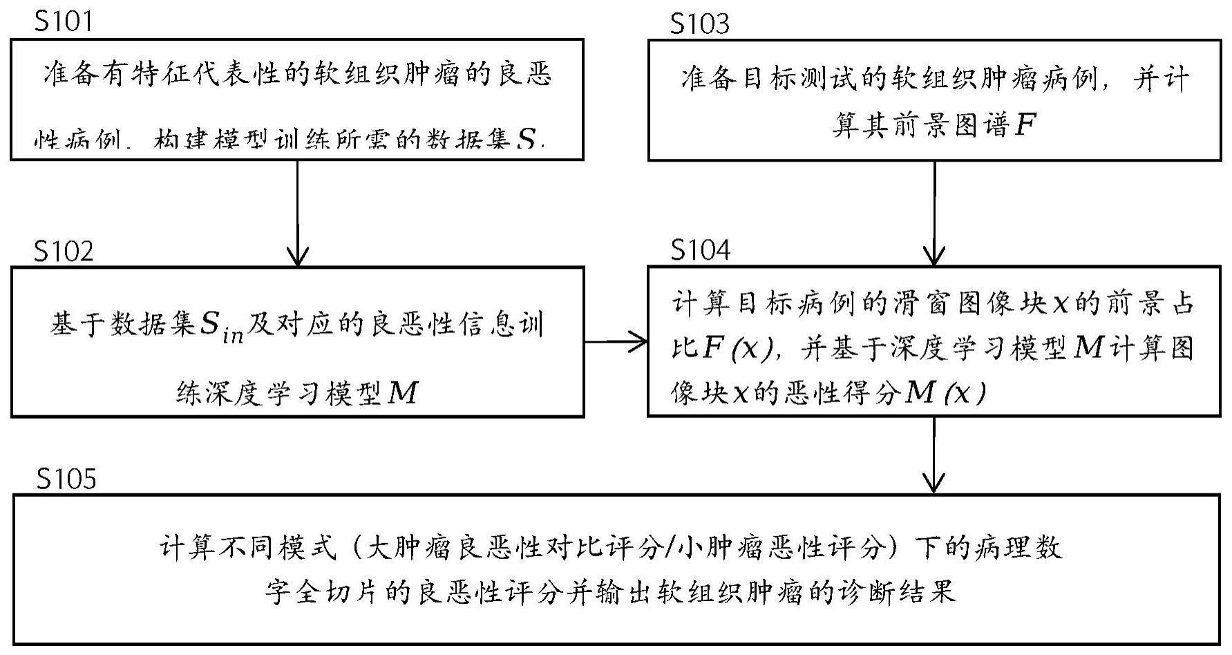 软组织肿瘤病理自动评分方法及系统