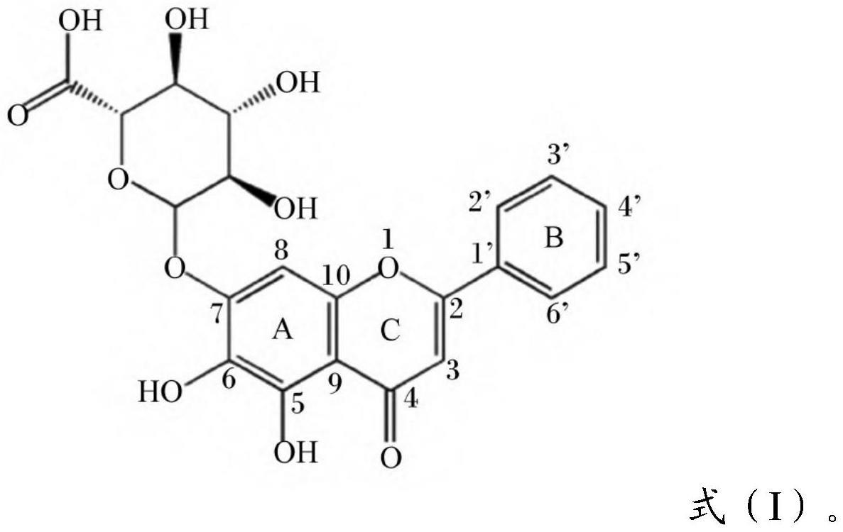 黄芩苷或其衍生物在制备预防和/或治疗IgAN的药物中的应用