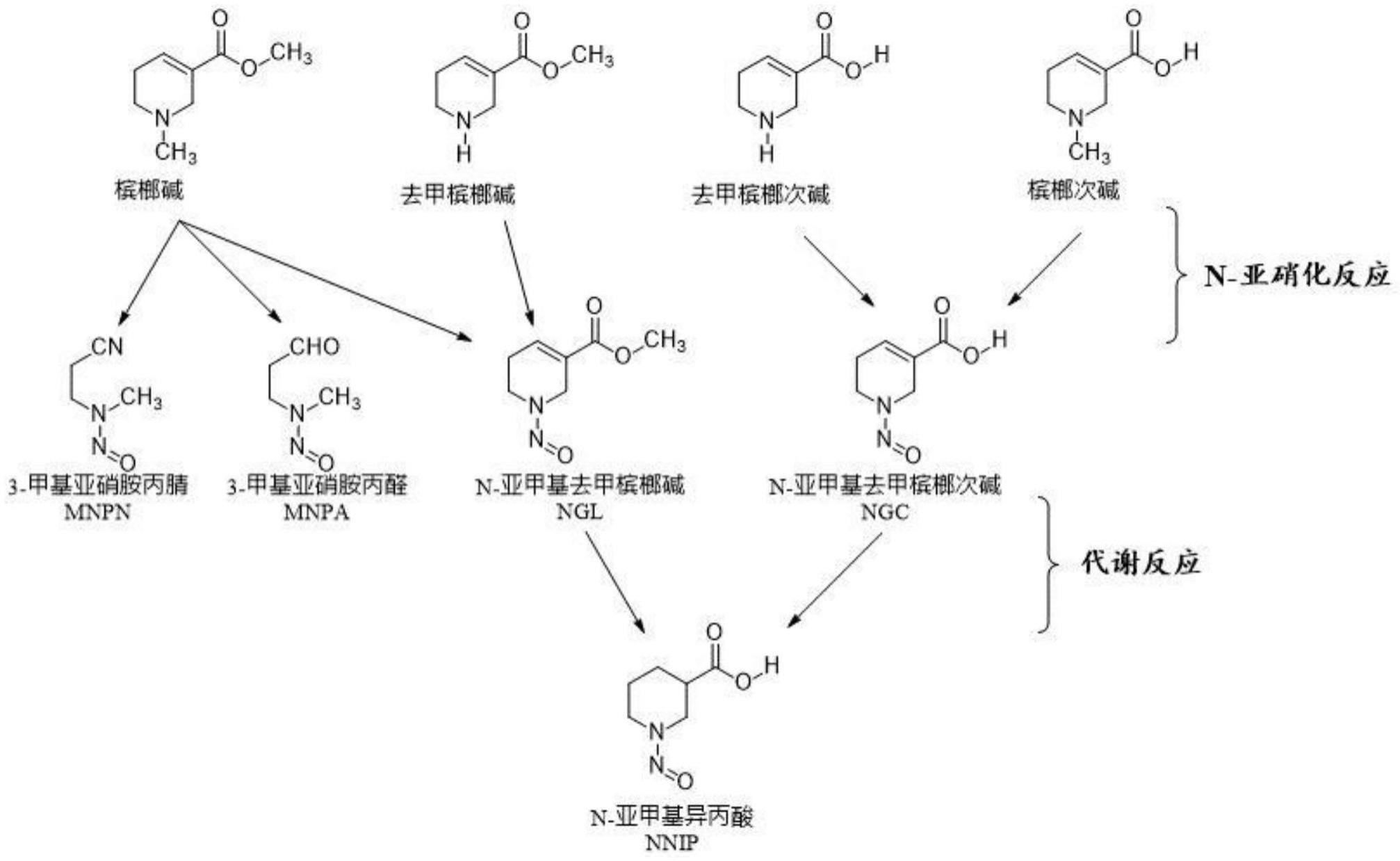 一种降低槟榔生物碱亚硝化反应中特异性N-亚硝基化合物含量的方法