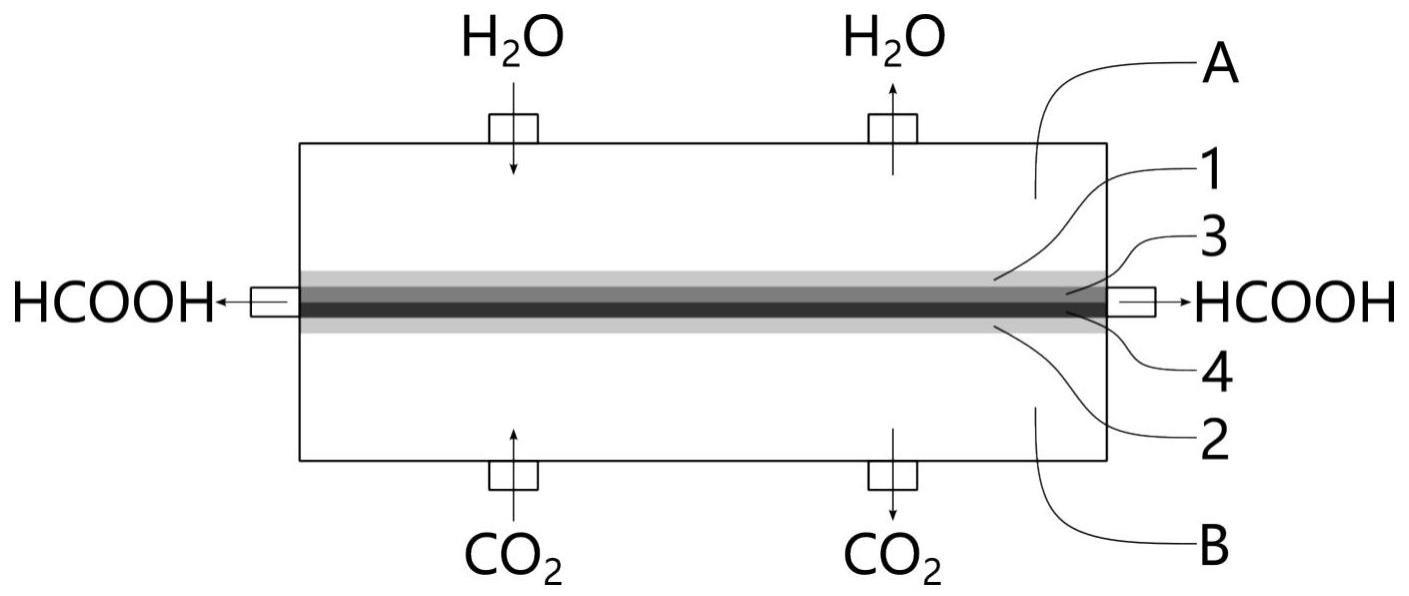 二氧化碳电催化反应器的制作方法