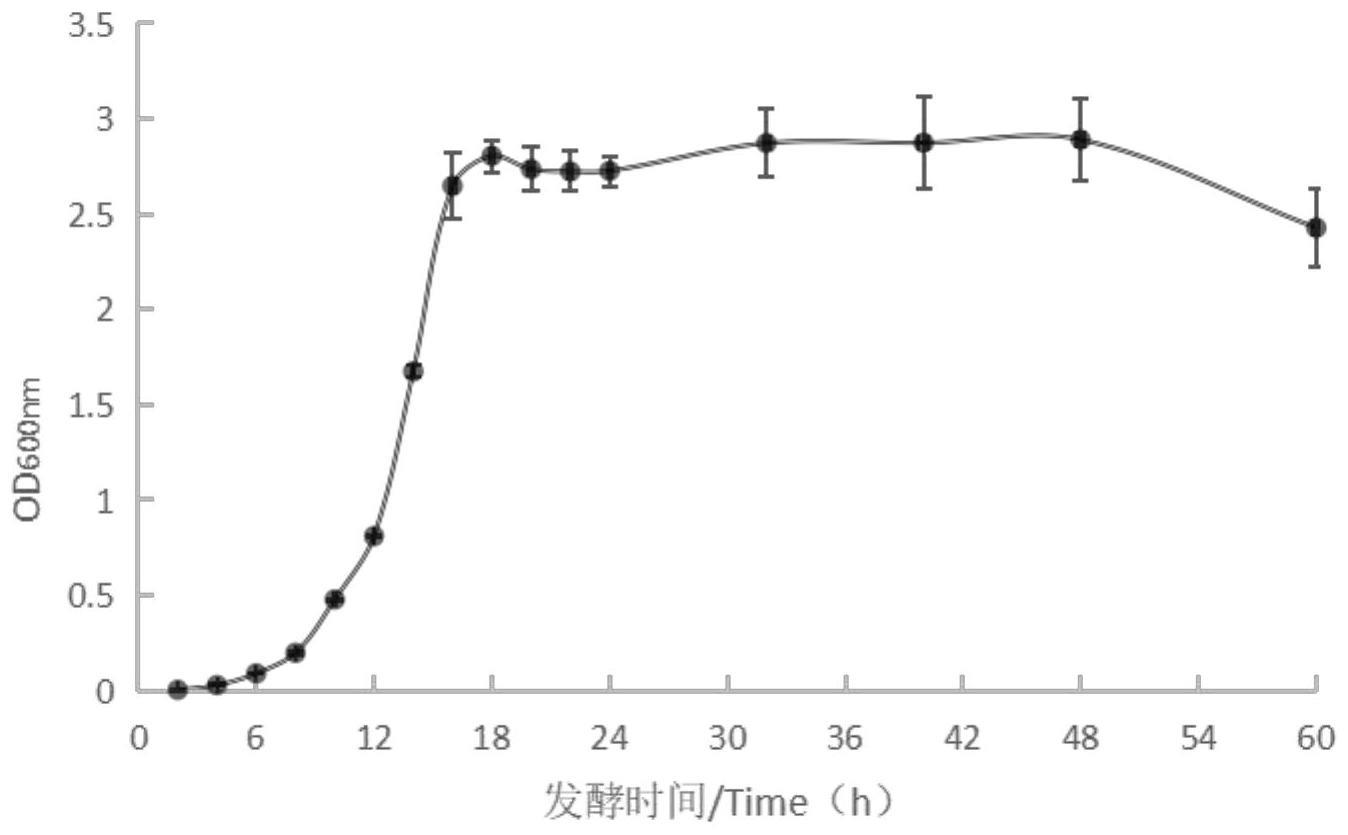 一种基于发酵的生物菌剂及其制备方法与应用