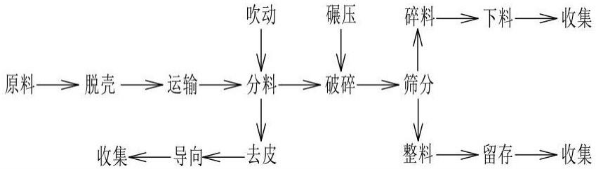 一种油茶籽精选加工工艺的制作方法