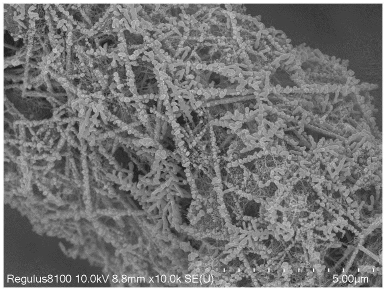 一种利用银修饰铜纳米线/碳纳米材料/聚合物泡棉制备三维亲锂复合集流体的方法