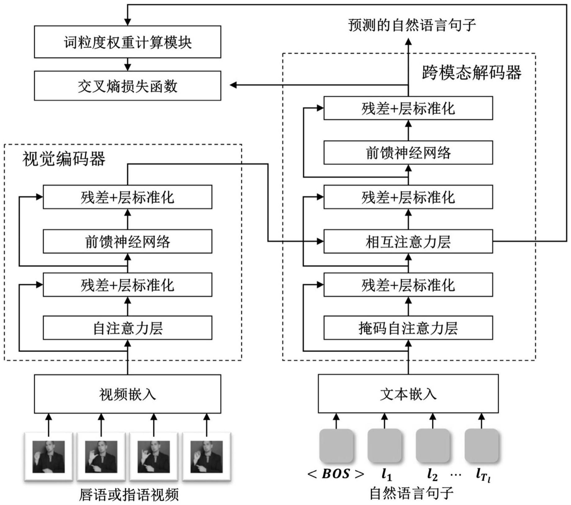 基于对比学习和词粒度权重的视觉语言翻译方法和系统与流程