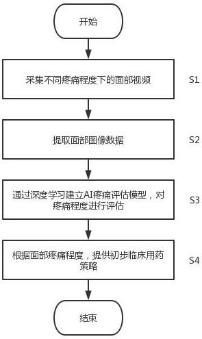 一种基于面部表情识别的智能疼痛管理方法及系统