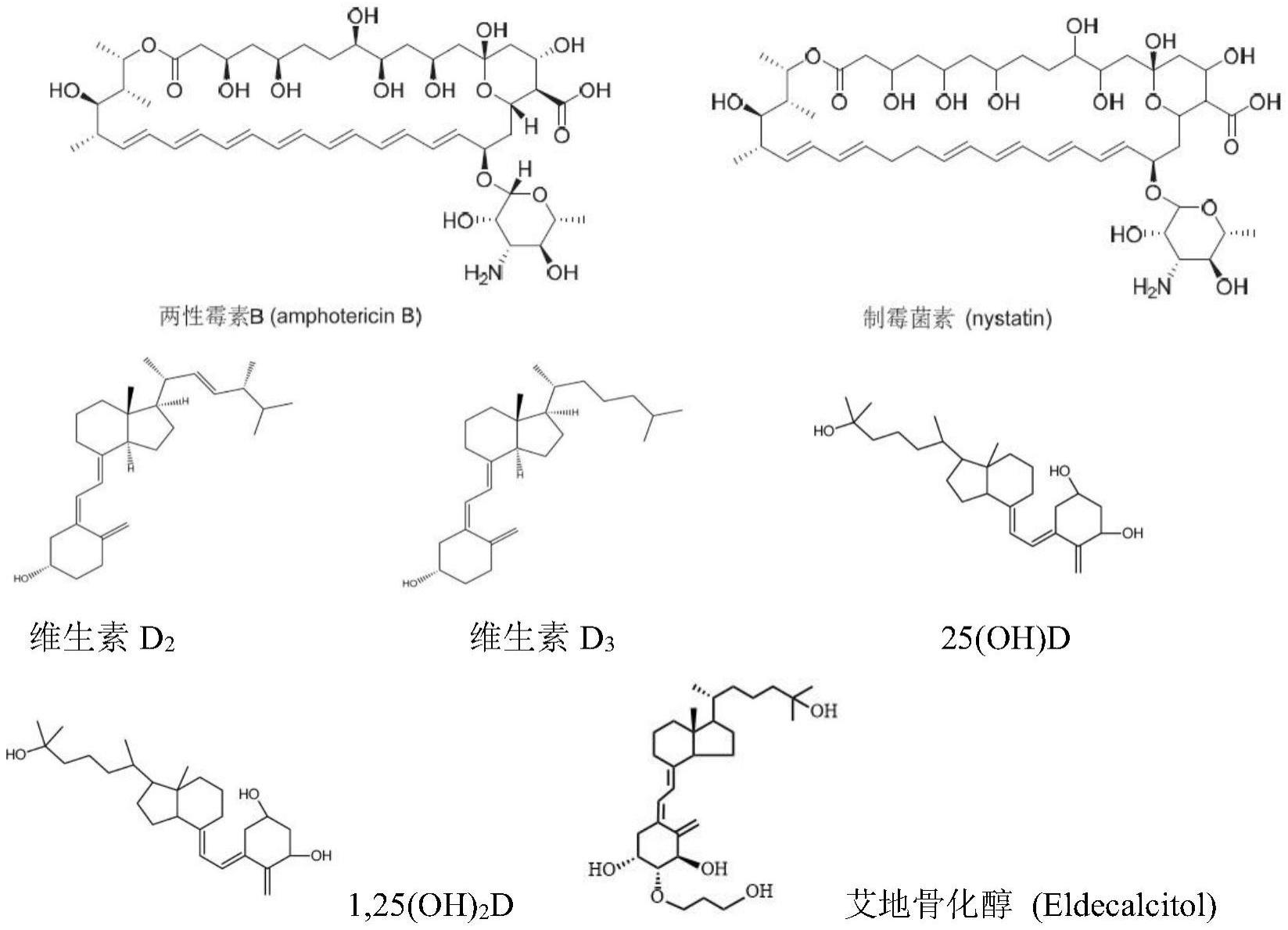 一种多烯类抗真菌药物组合物及其应用