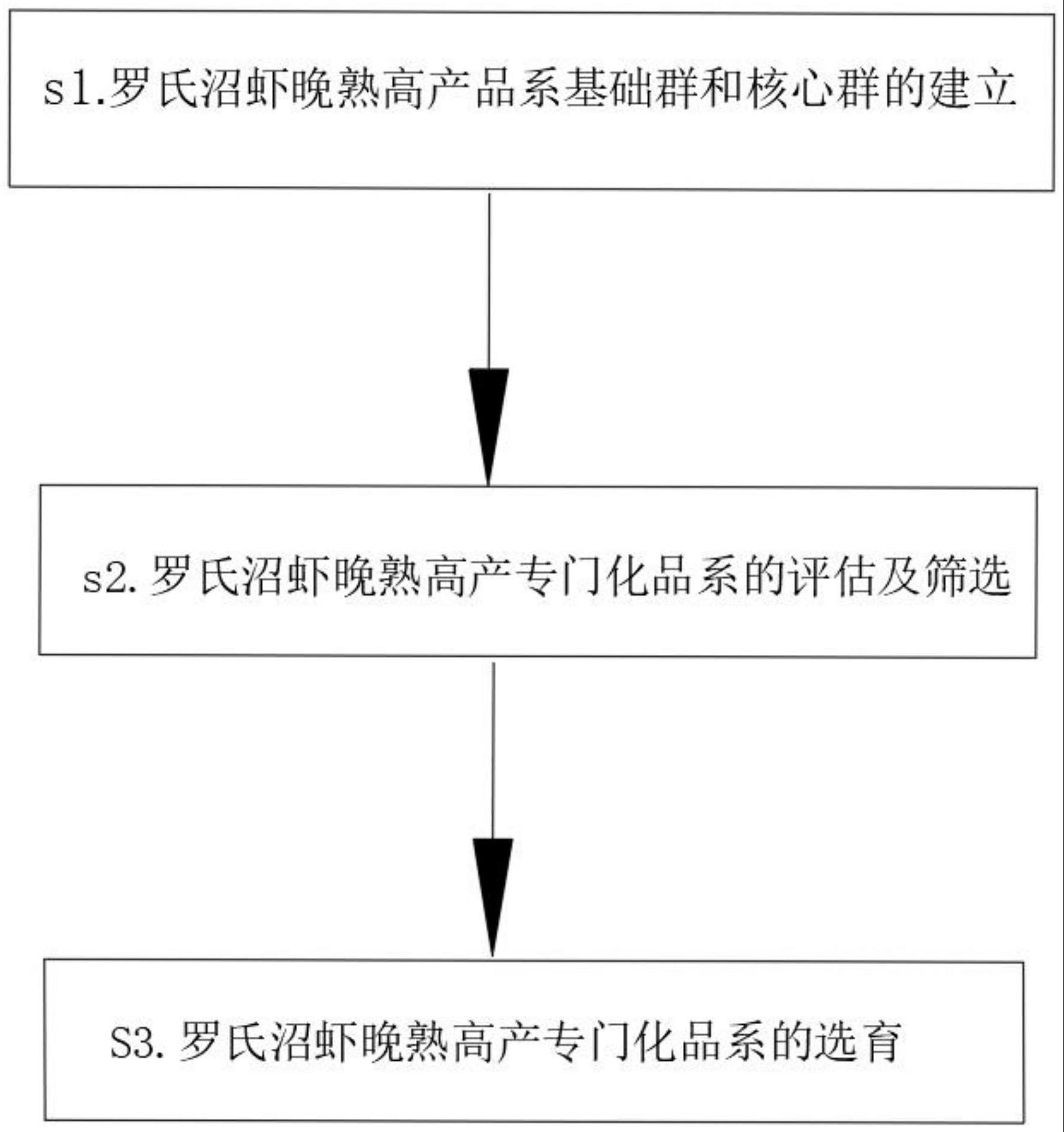 一种罗氏沼虾晚熟高产新品系的选育方法与流程