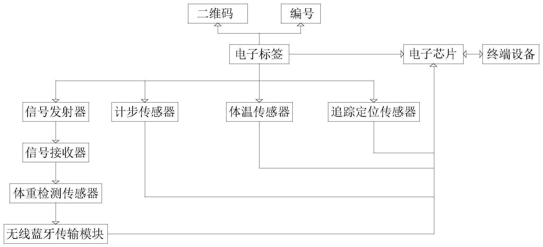 基于多传感器信息融合的禽类个体身份识别方法及系统与流程