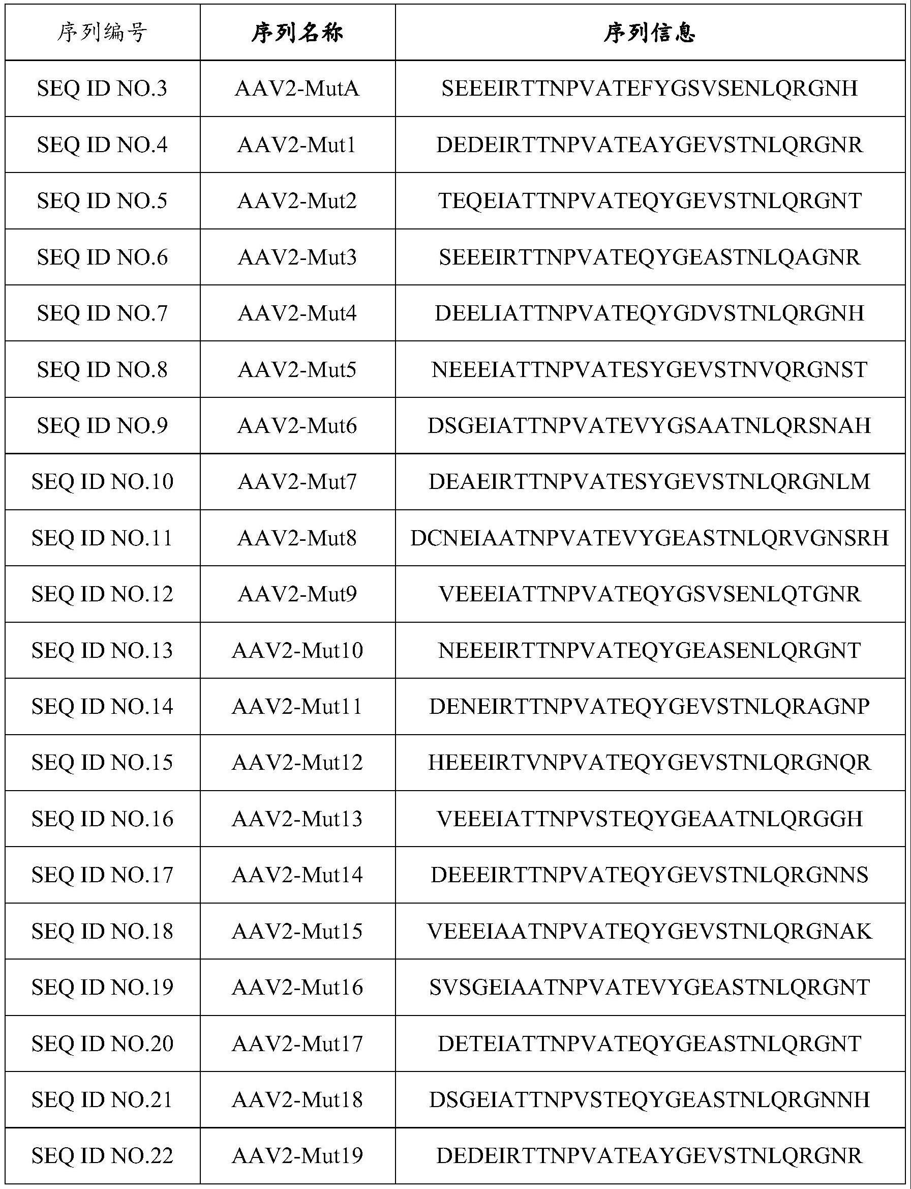 一种腺相关病毒变体及其制备方法与应用与流程