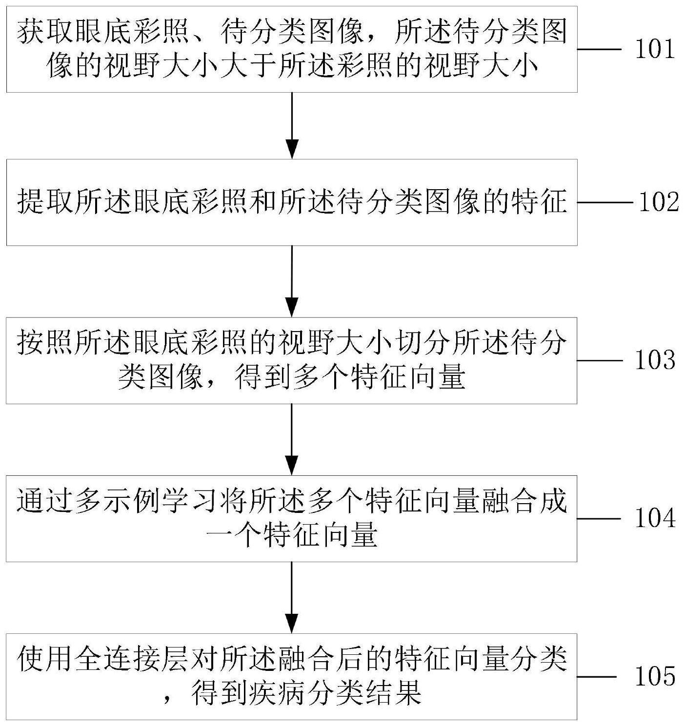 一种眼底图像分类方法、装置及电子设备与流程