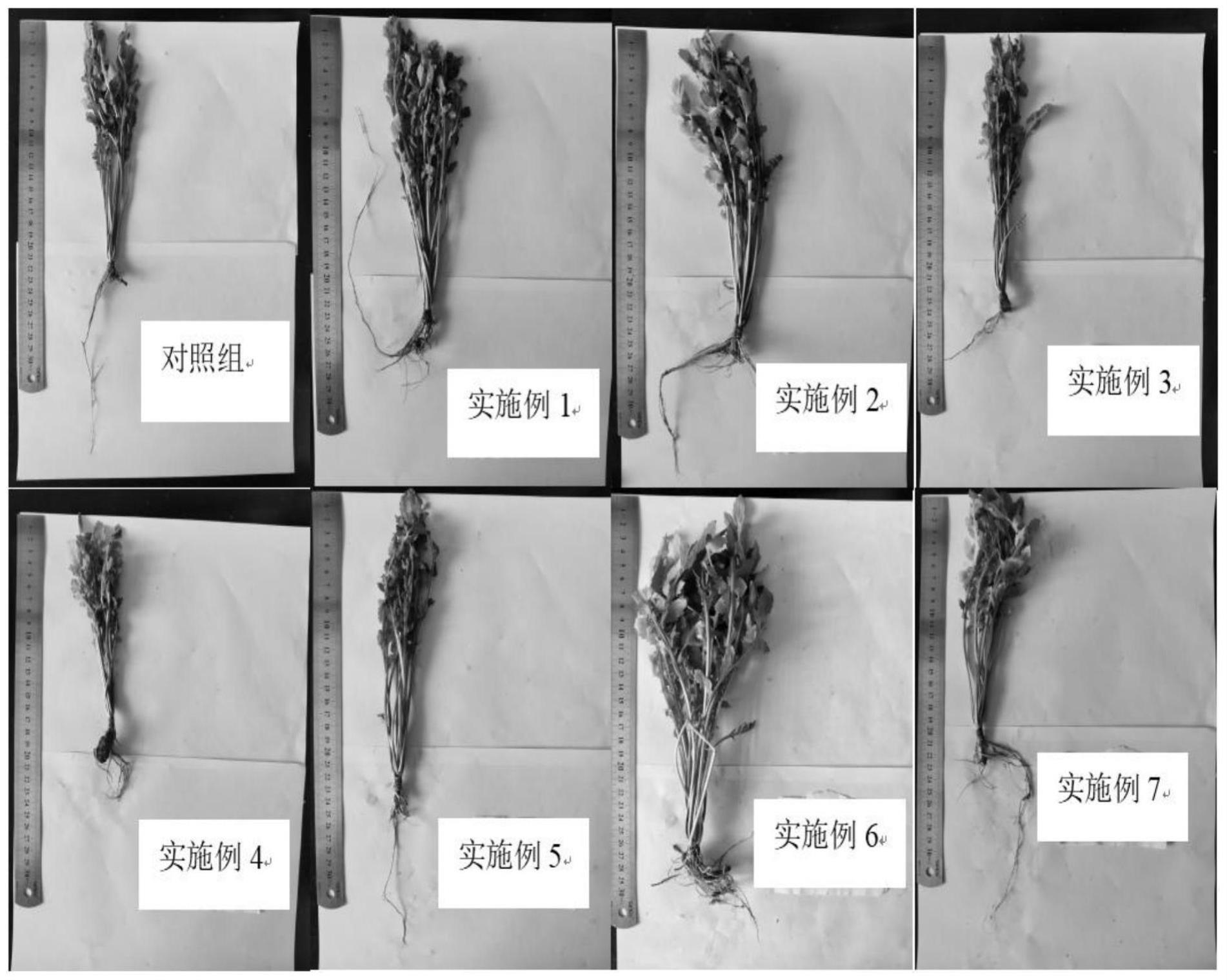 一种利用矿区废弃矸石配置的种植基质及制备方法