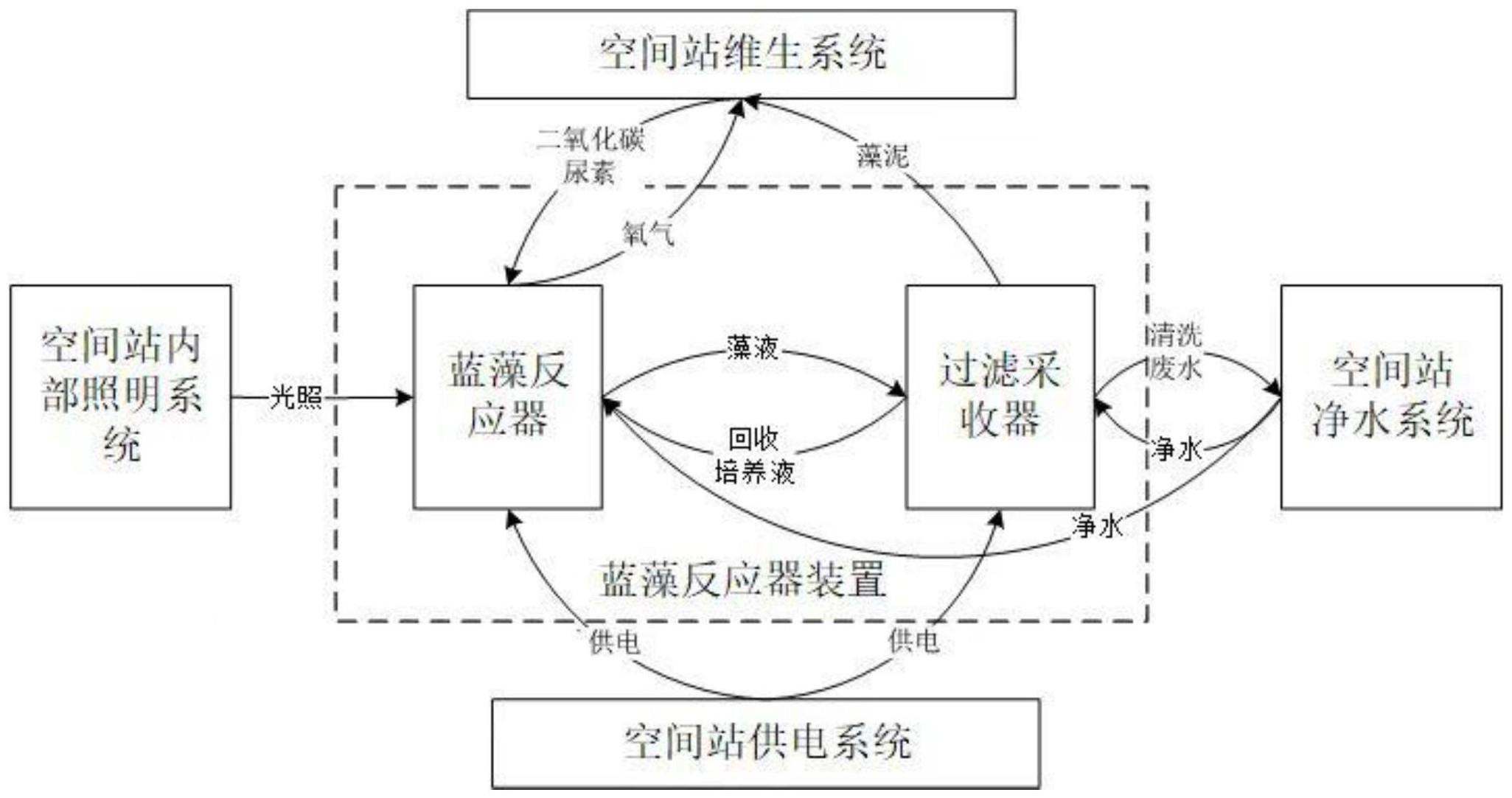 一种空间站蓝藻生物培育方法与流程