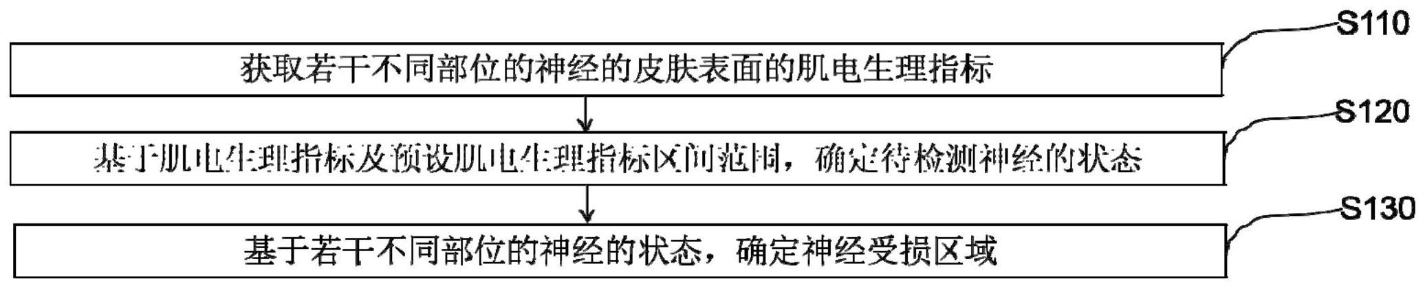 一种神经受损区域确定方法、系统、设备及介质