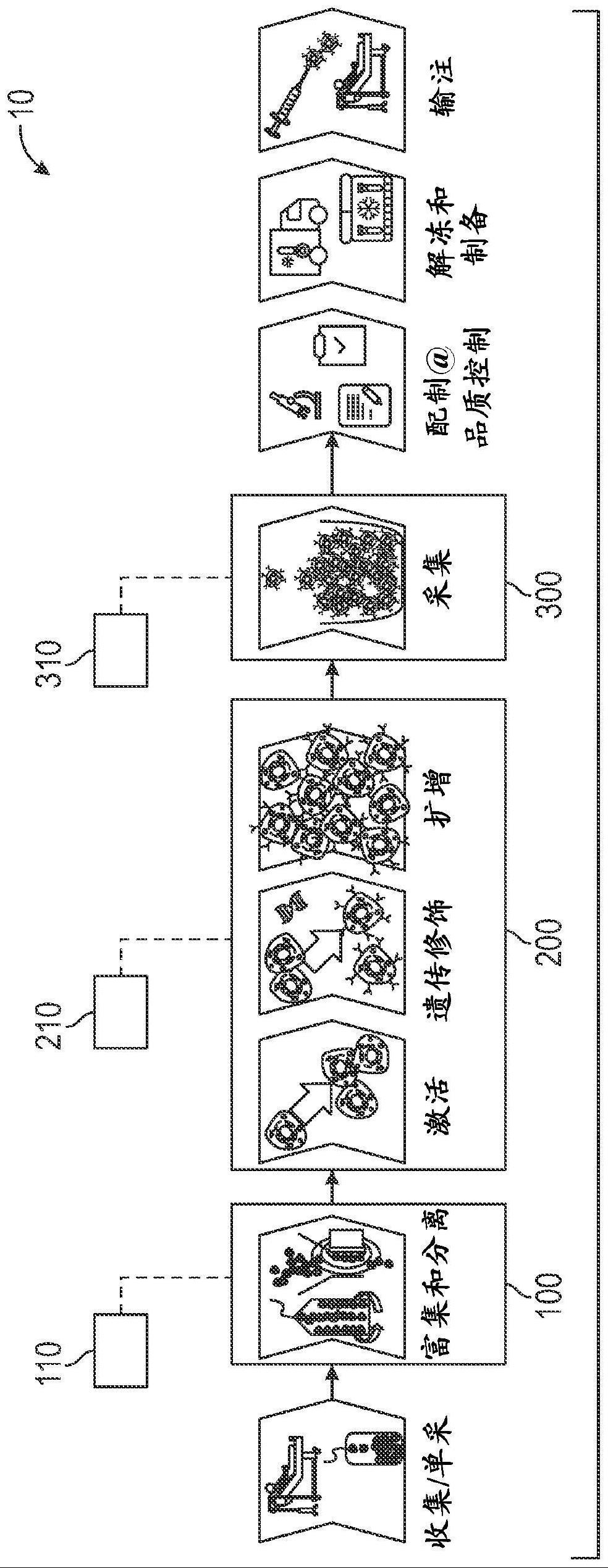 用于使用质量平衡技术验证生物处理系统的完整性的系统和方法与流程