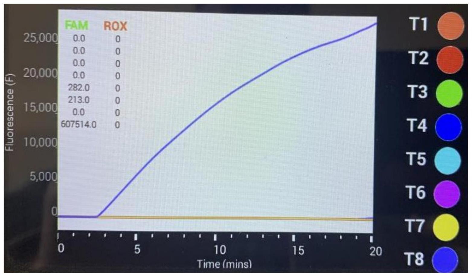 一种检测禽网状内皮组织增生症病毒的RAA引物、探针及方法