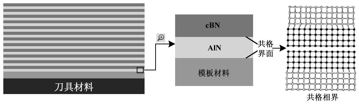 一种基于模板效应生长的cBN/AlN纳米复合刀具涂层及制备方法