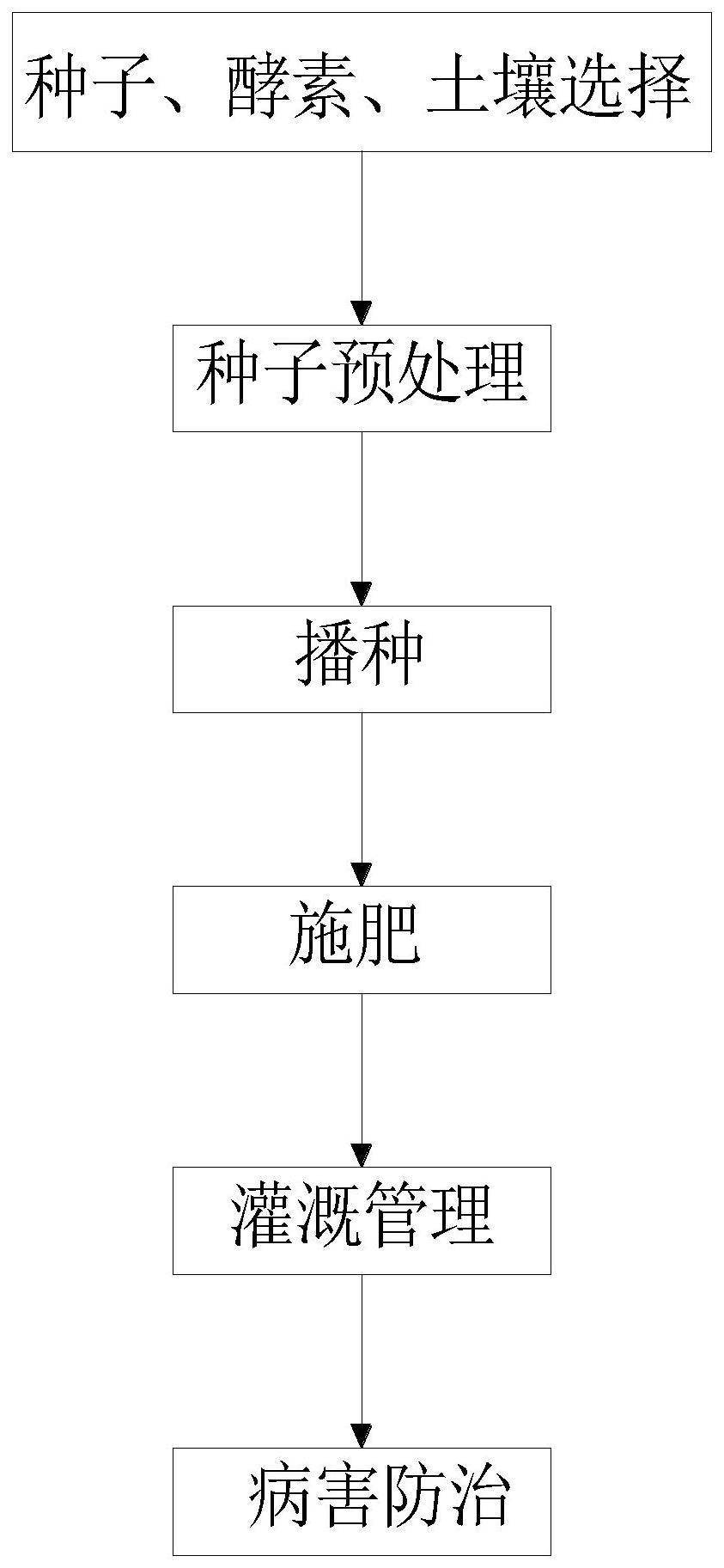 一种生态水稻催芽育种方法与流程