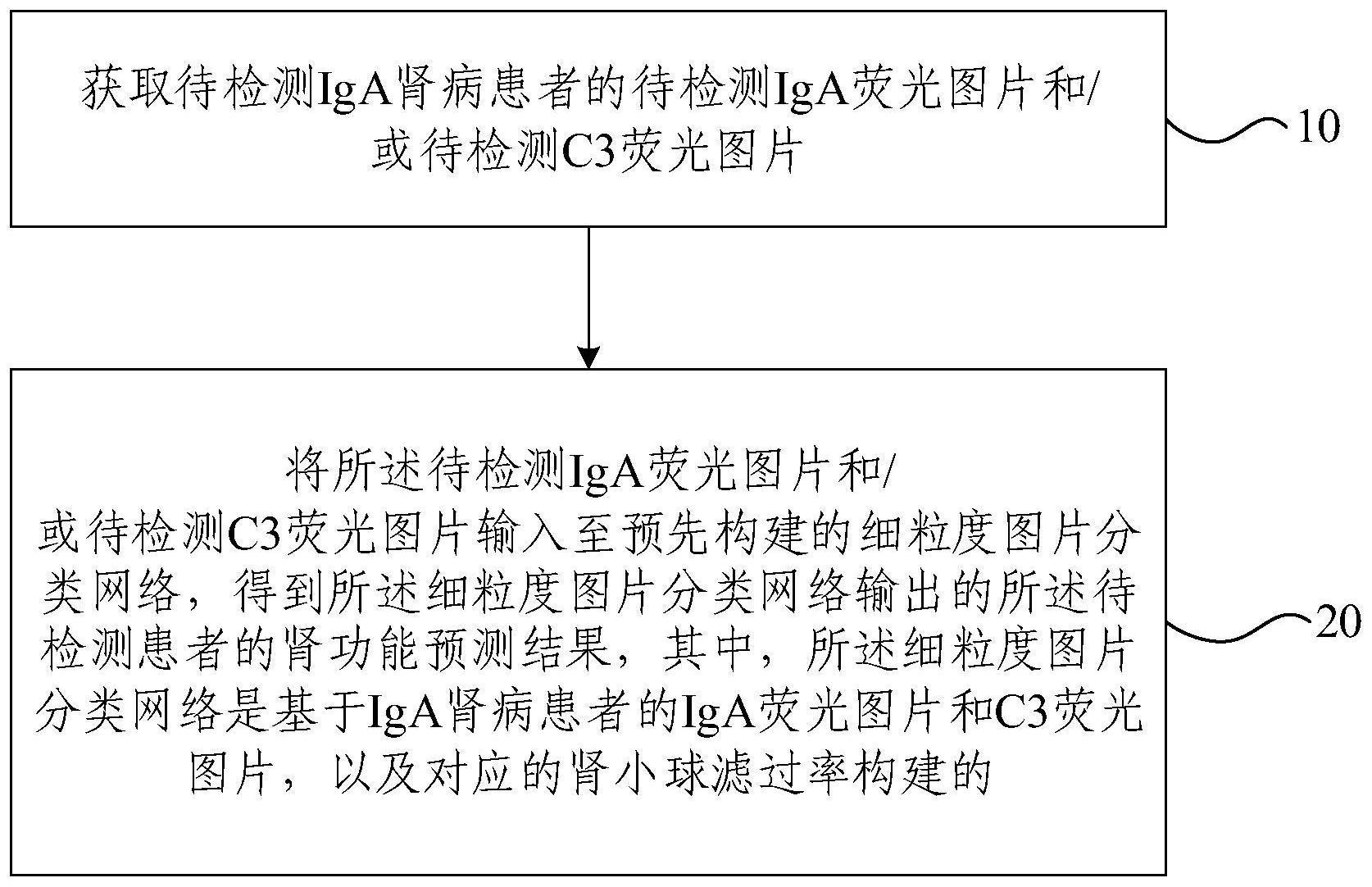 肾功能预测方法、装置、设备、介质及程序产品与流程