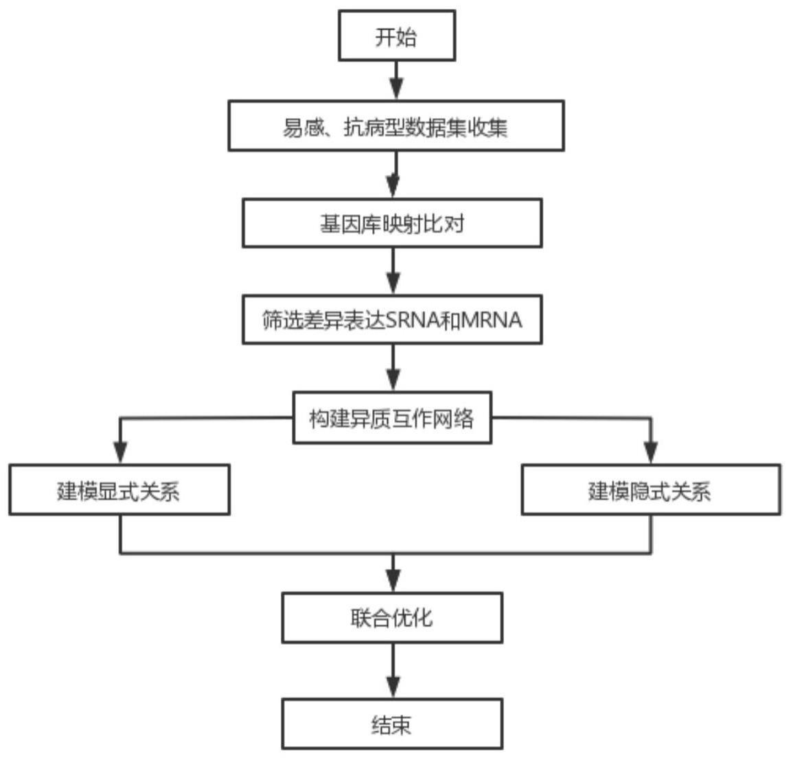 一种基于机器学习的水稻抗稻瘟菌关键SRNA识别方法