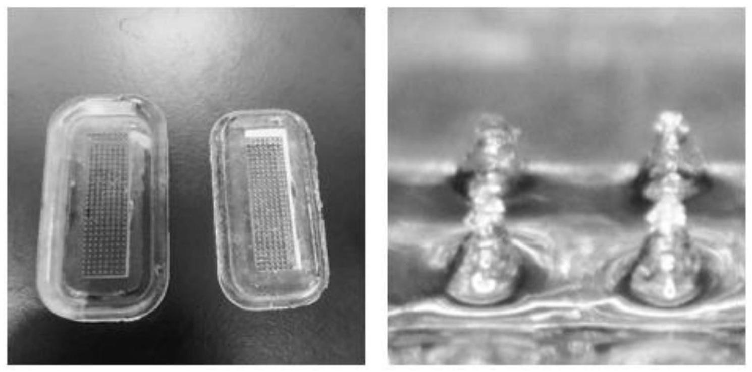 一种用于草莓农药残留现场快速检测的水凝胶微针贴片的制备方法和应用