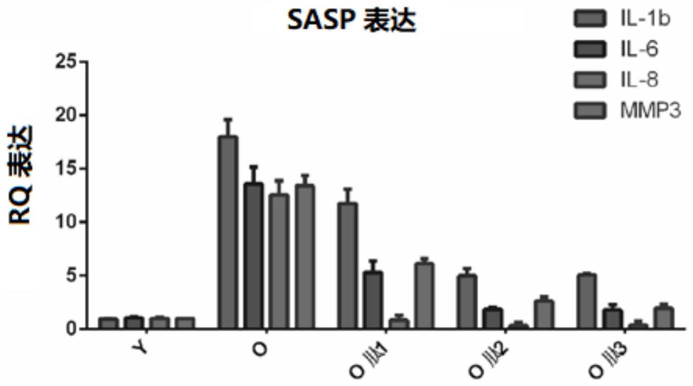 一种小分子肽在制备抗皮肤衰老或抗皮炎的组合物产品中的应用