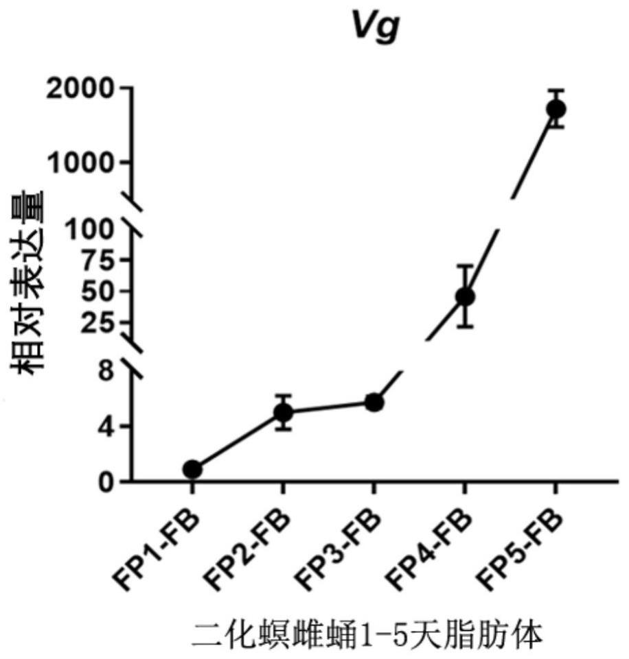 一种miRNA及其在水稻杀虫改良中的应用