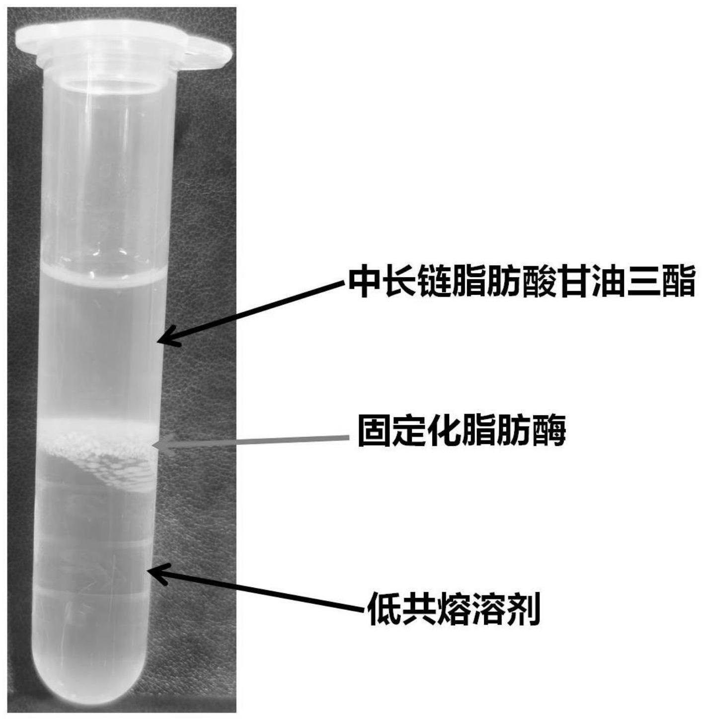 一种中长链脂肪酸甘油三酯的制备方法与流程