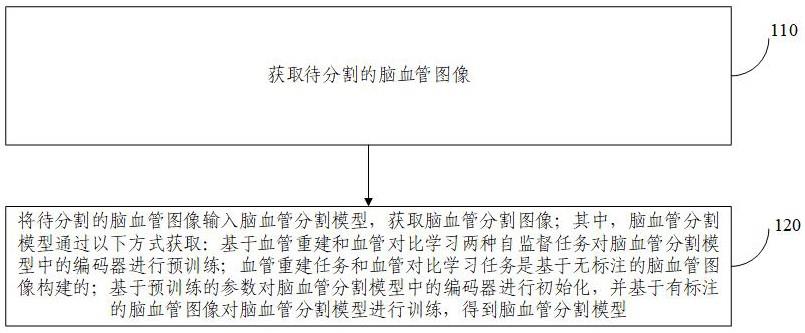 基于自监督学习的脑血管分割方法及相关设备