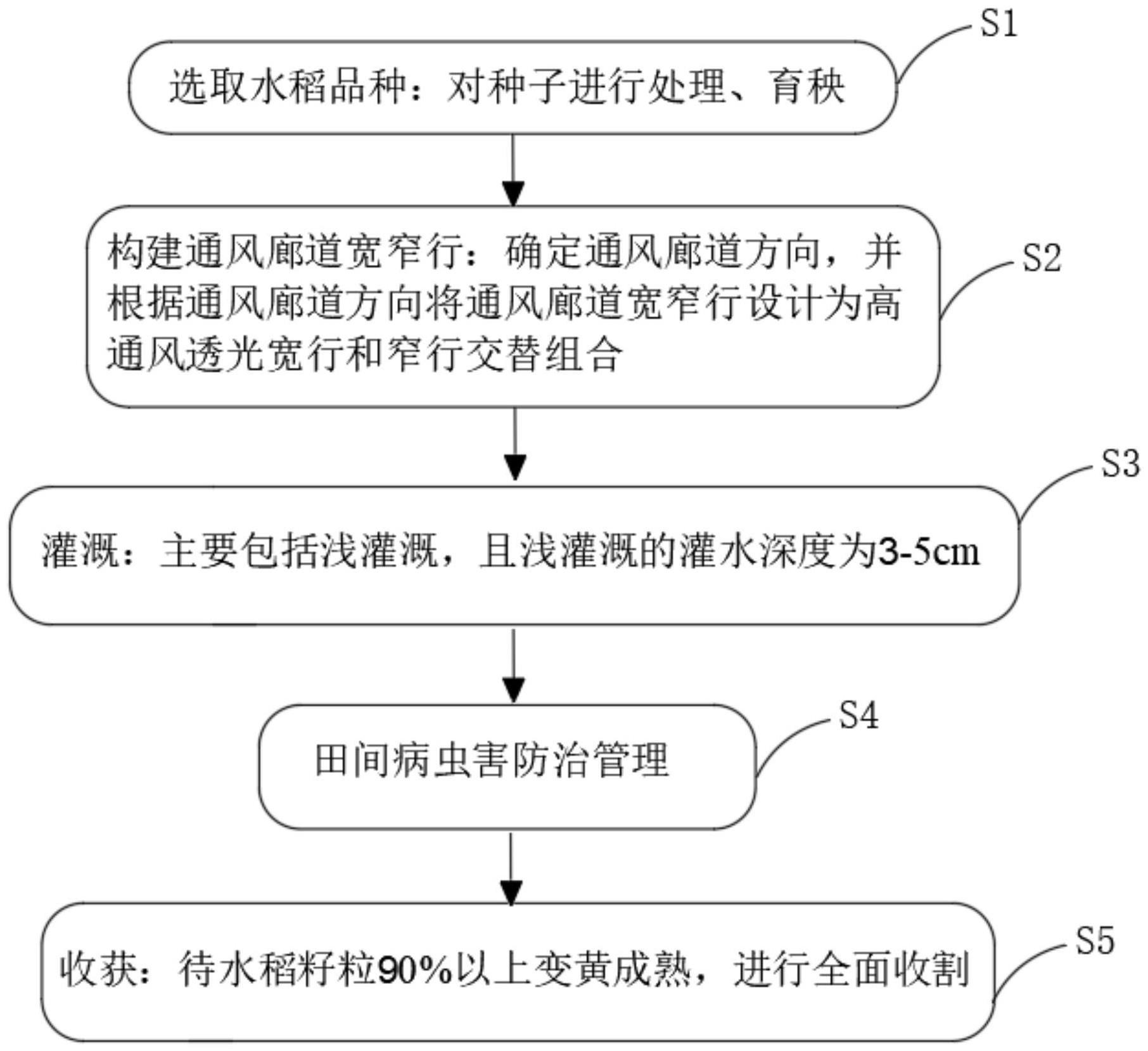 一种抗高温热害和提高光能利用率的栽培方法