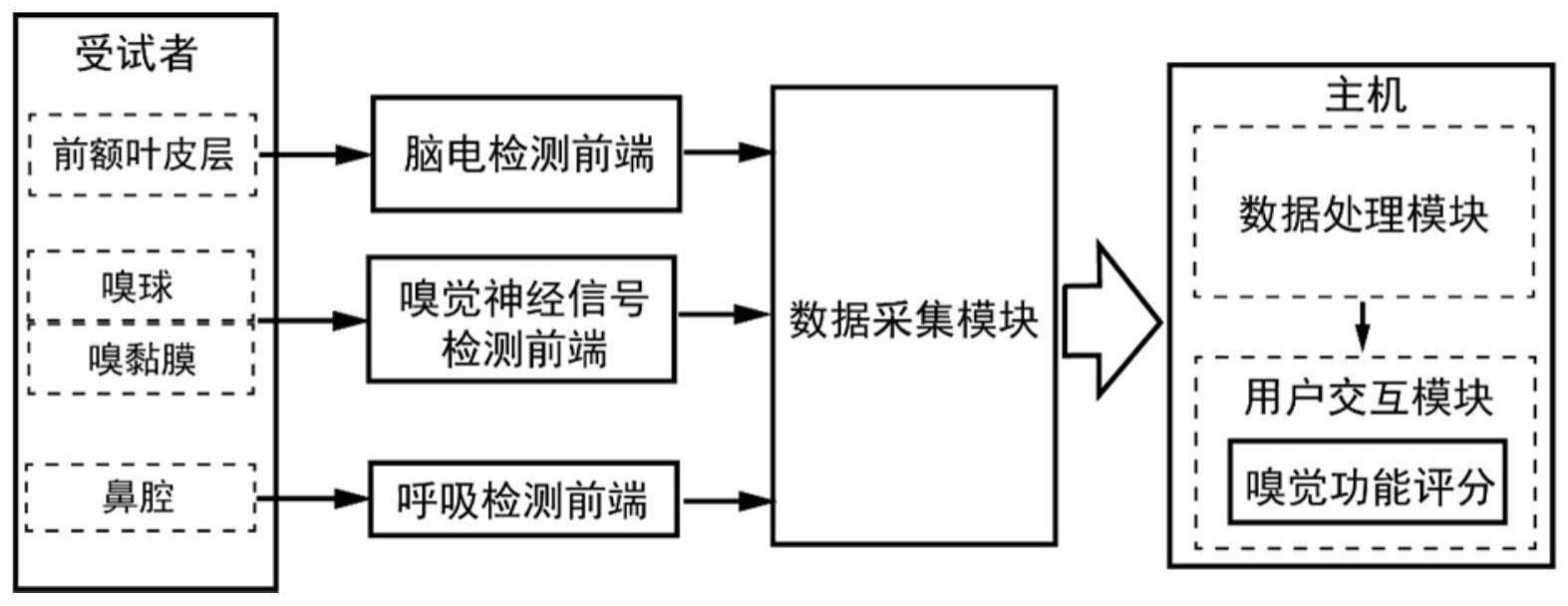 一种基于脑机交互技术的嗅觉功能标准化评估装置及方法