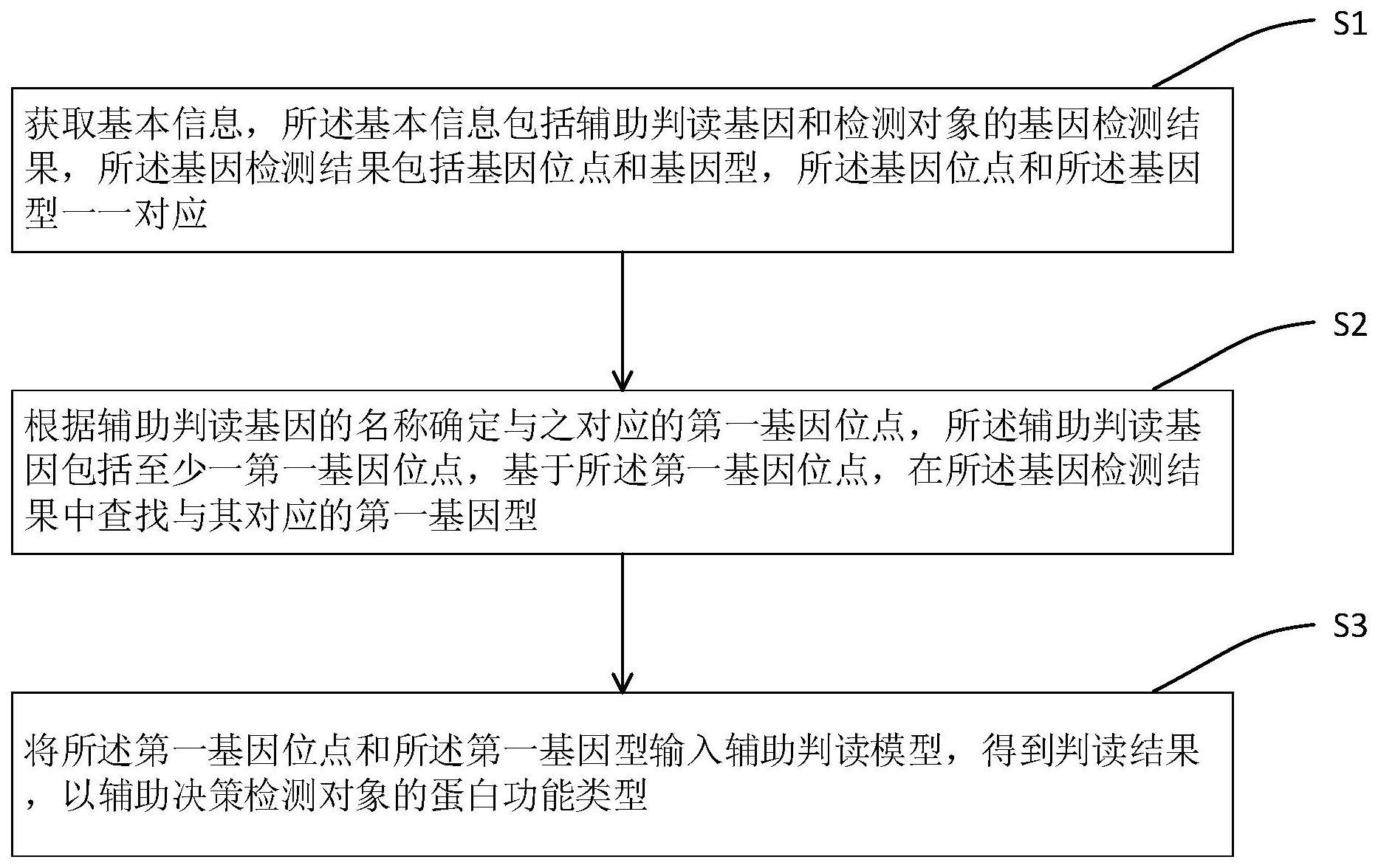 一种蛋白功能分型的决策方法、系统和电子设备与流程