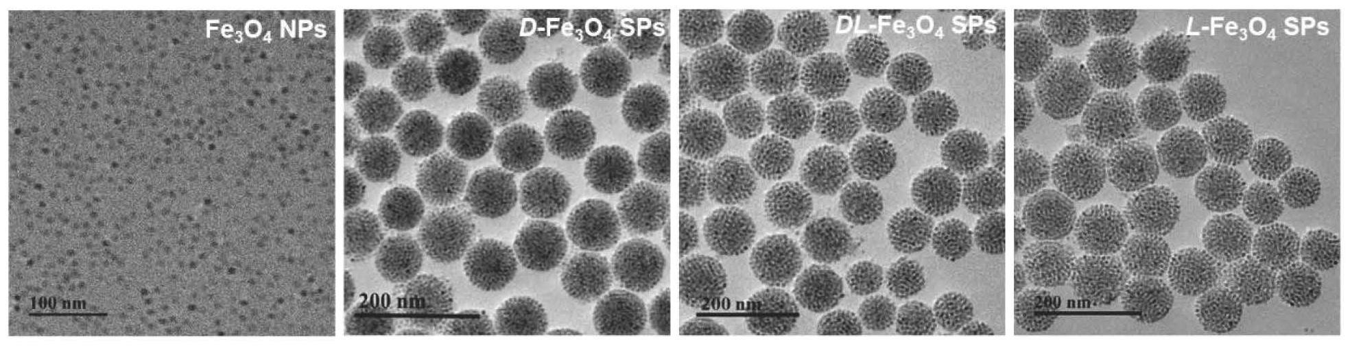 一种手性铁基超粒子纳米材料及其制备方法与应用与流程