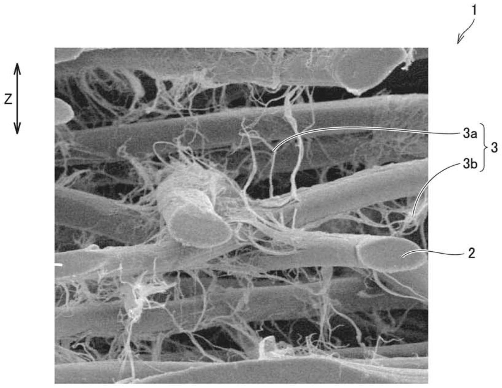纤维聚集体及使用了该纤维聚集体的吸液性片状物、以及纤维聚集体的制造方法与流程