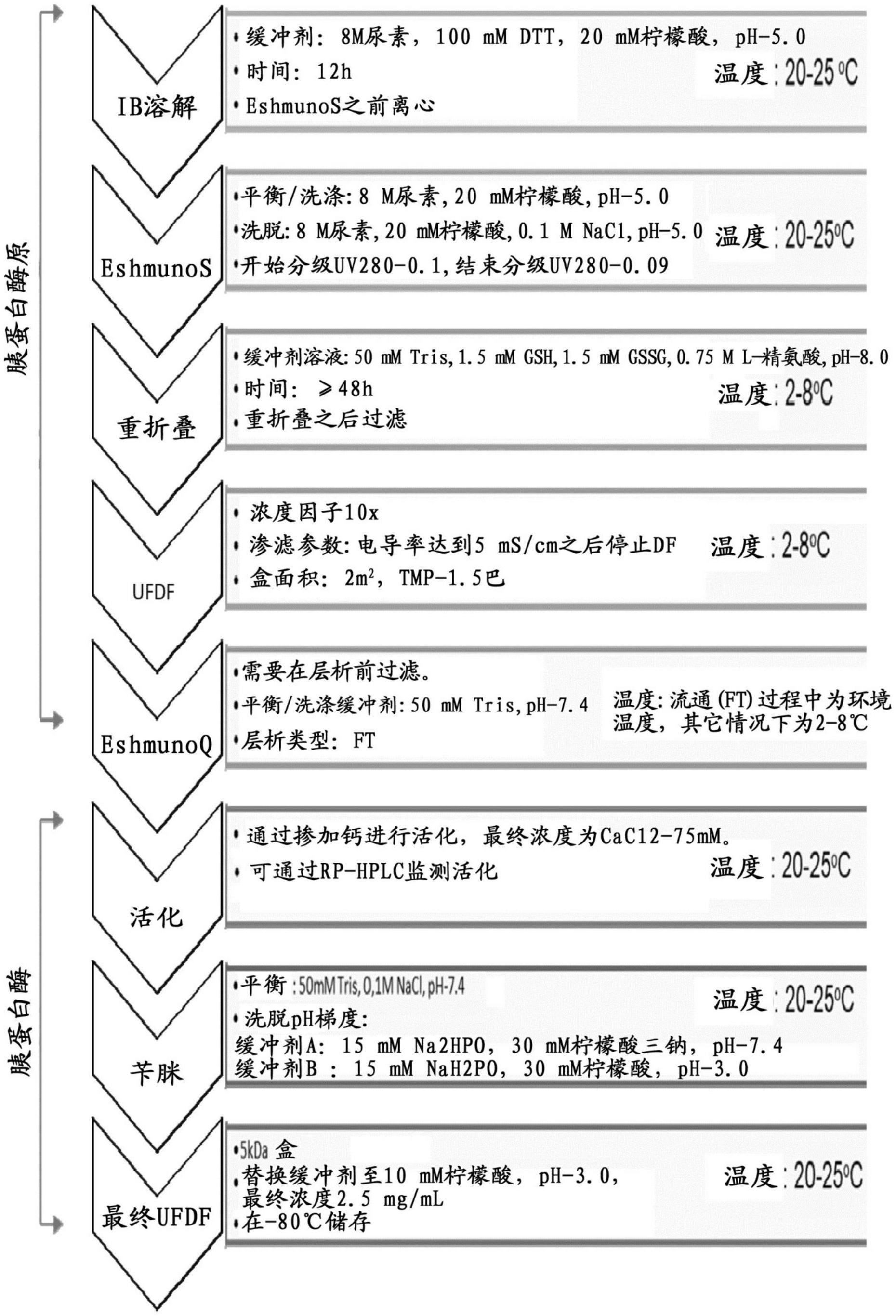 生产β-胰蛋白酶的方法与流程