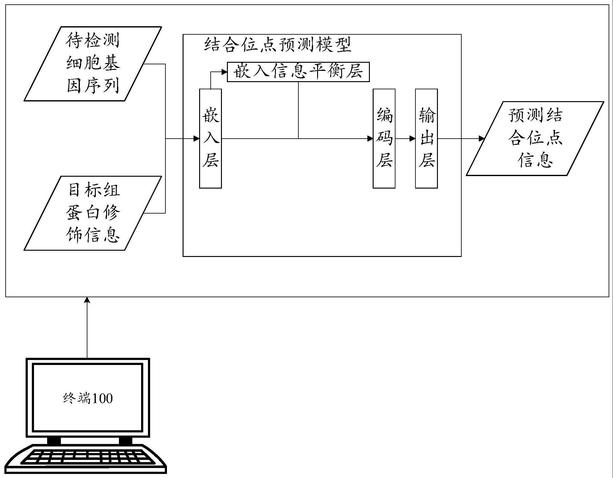 转录因子结合位点的预测方法及装置与流程