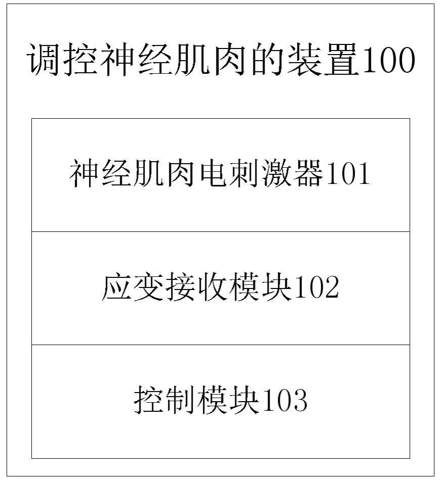 一种调控神经肌肉的装置和方法