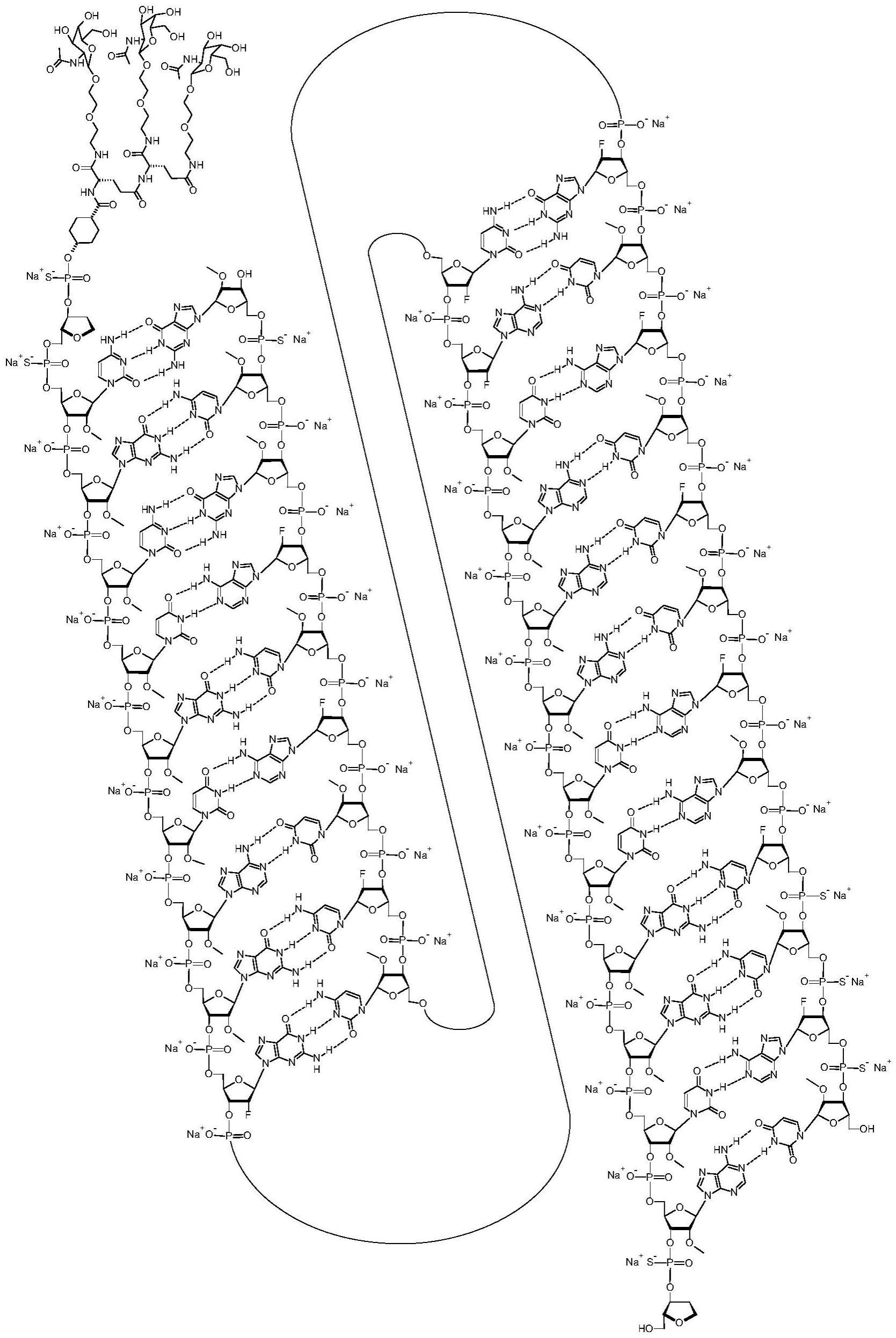 用于B型肝炎病毒感染的RNAi剂的制作方法