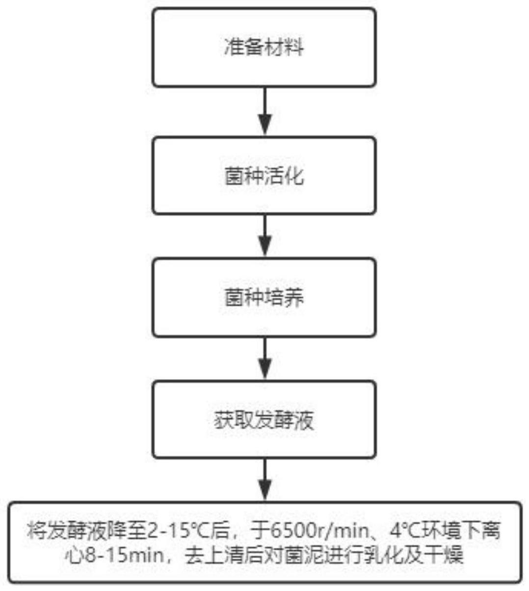 一种具有缓解便秘作用的两歧双歧杆菌生物制剂的制作方法