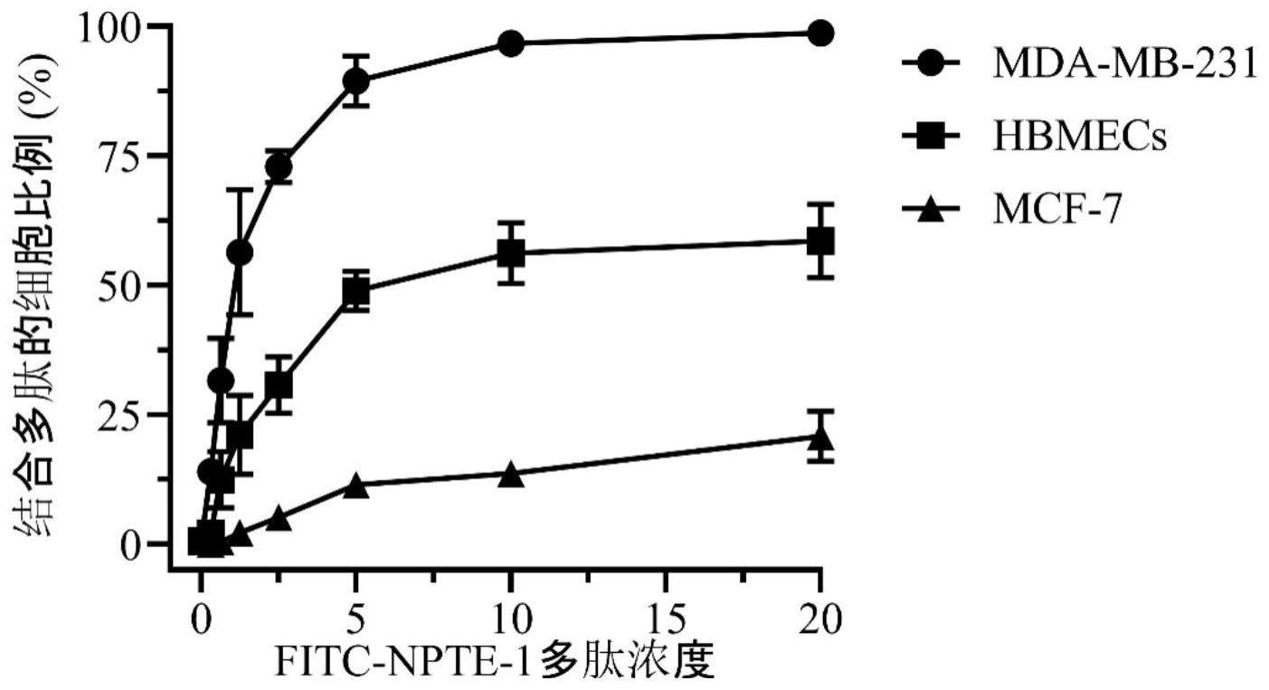 一种EGFR靶向多肽及其在制备治疗EGFR异常表达疾病的靶向递药系统中的用途