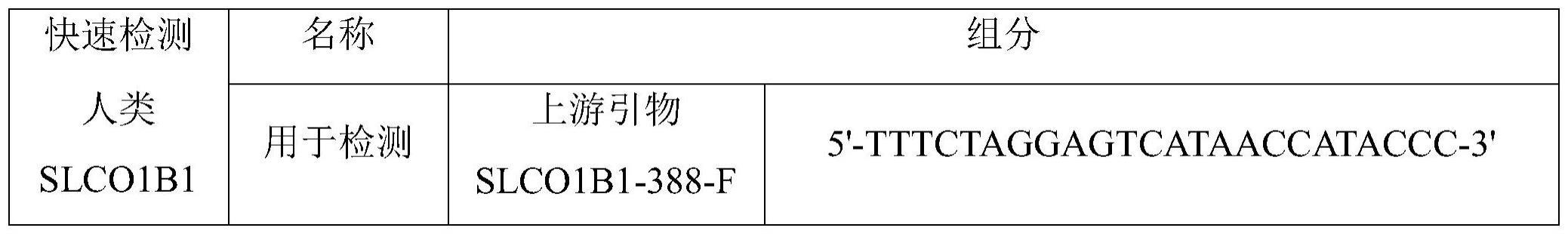 一种检测人类SLCO1B1基因多态性的引物探针组、试剂盒及检测方法和应用与流程