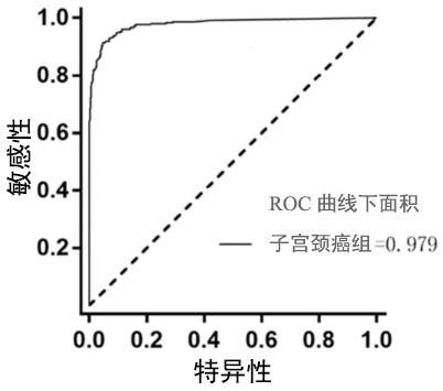 一种用于宫颈癌早筛和辅助诊断的检测方法及试剂盒与流程