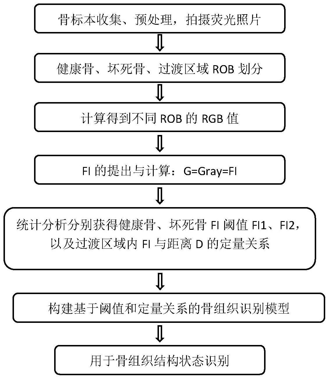 一种骨组织结构状态检测方法